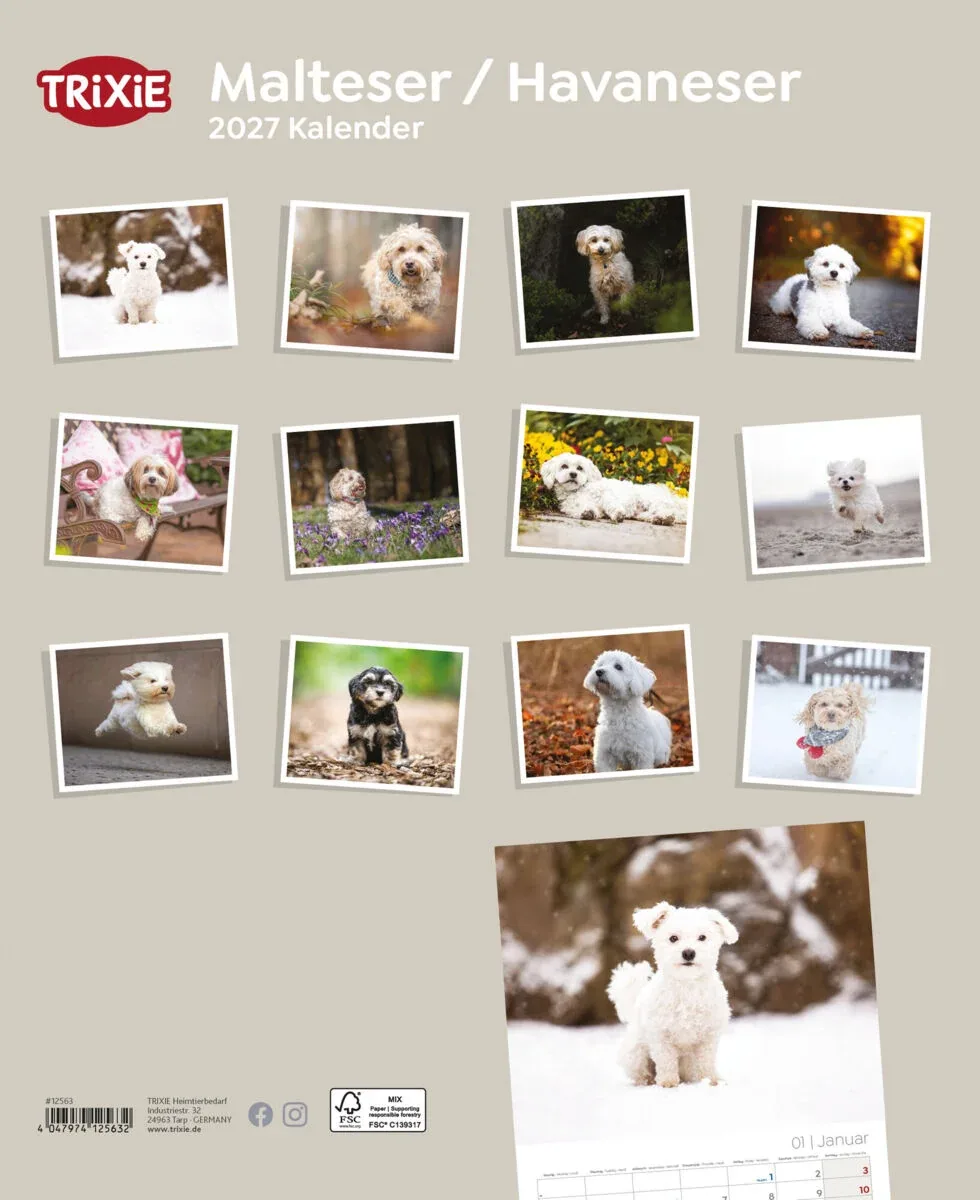 TRIXIE 2027 Kalender Malteser/Havaneser - Image 2