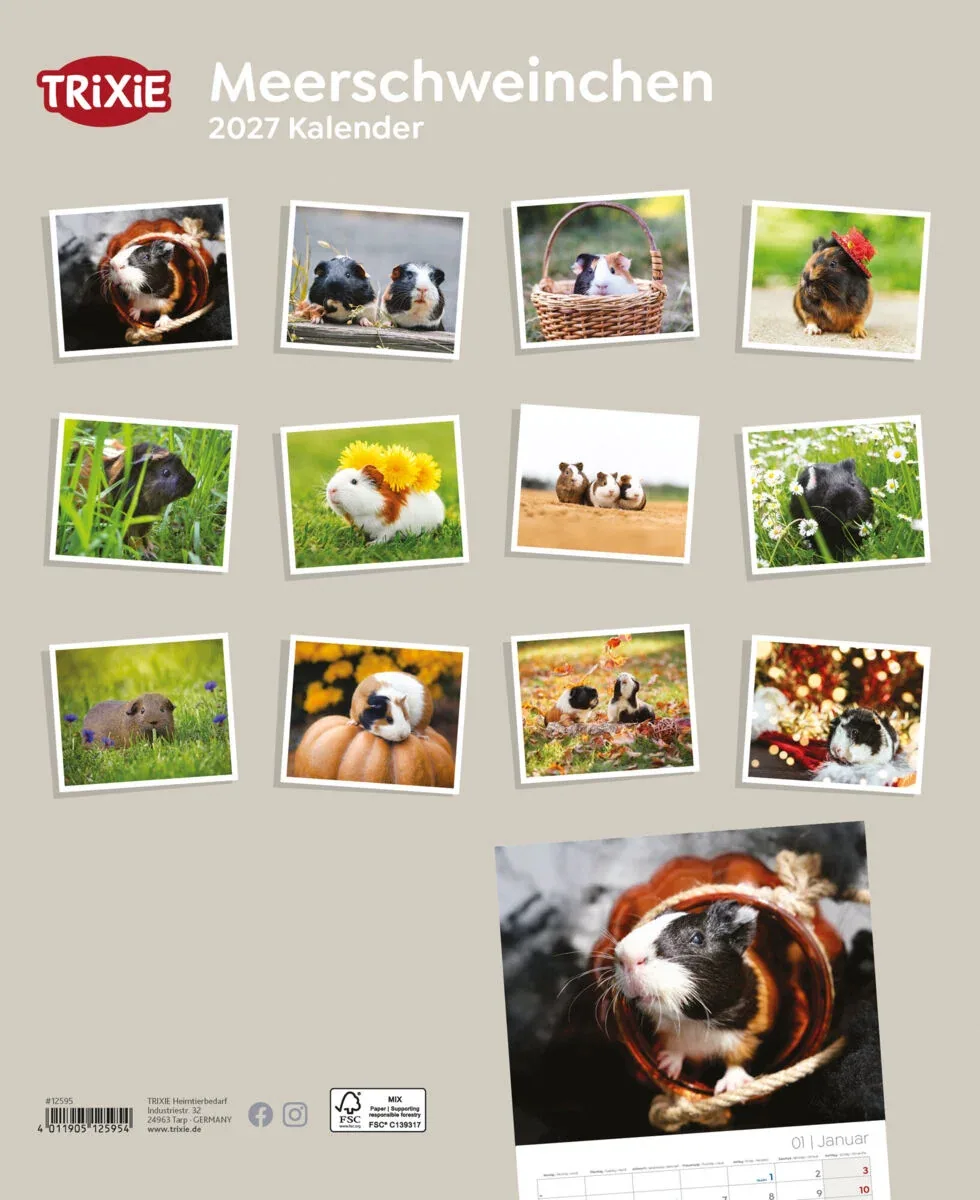 TRIXIE 2027 Kalender Meerschweinchen - Image 2