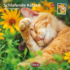 TRIXIE 2027 Kalender schlafende Katzen