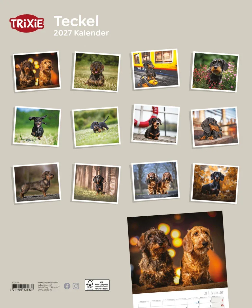 TRIXIE 2027 Kalender Teckel Dackel - Image 2