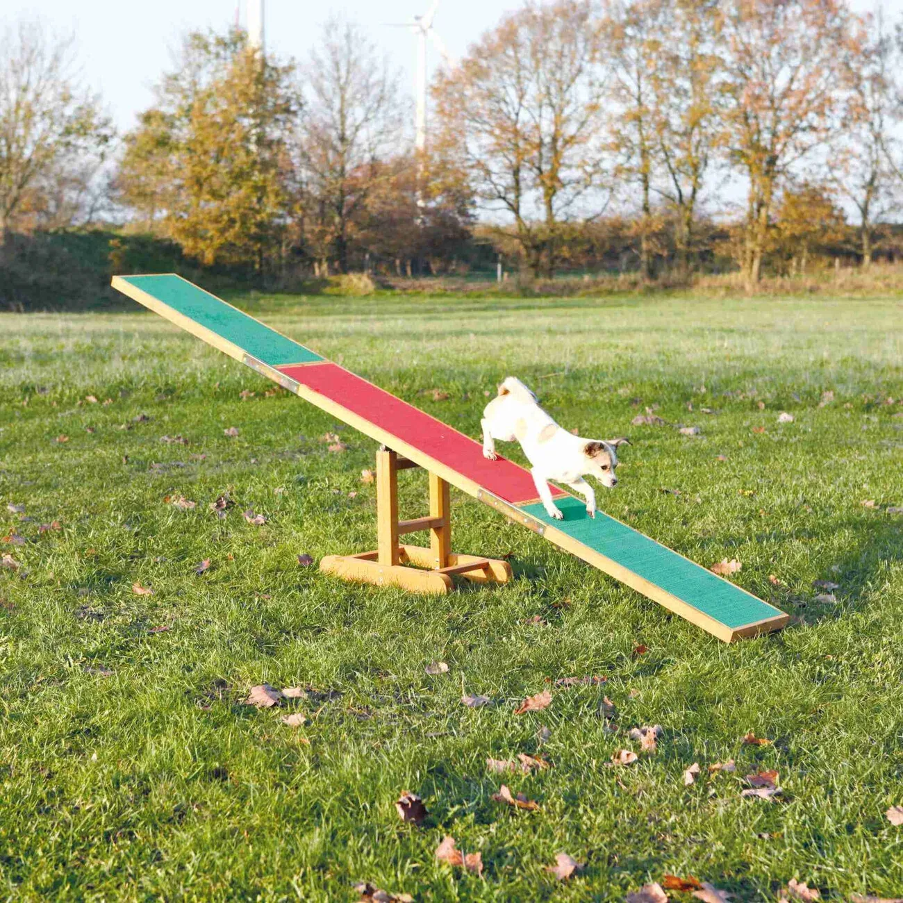 Trixie Agility Hunde Wippe - Image 2