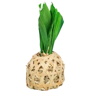 TRIXIE Ananas, Bambus mit Maisblättern und Heu