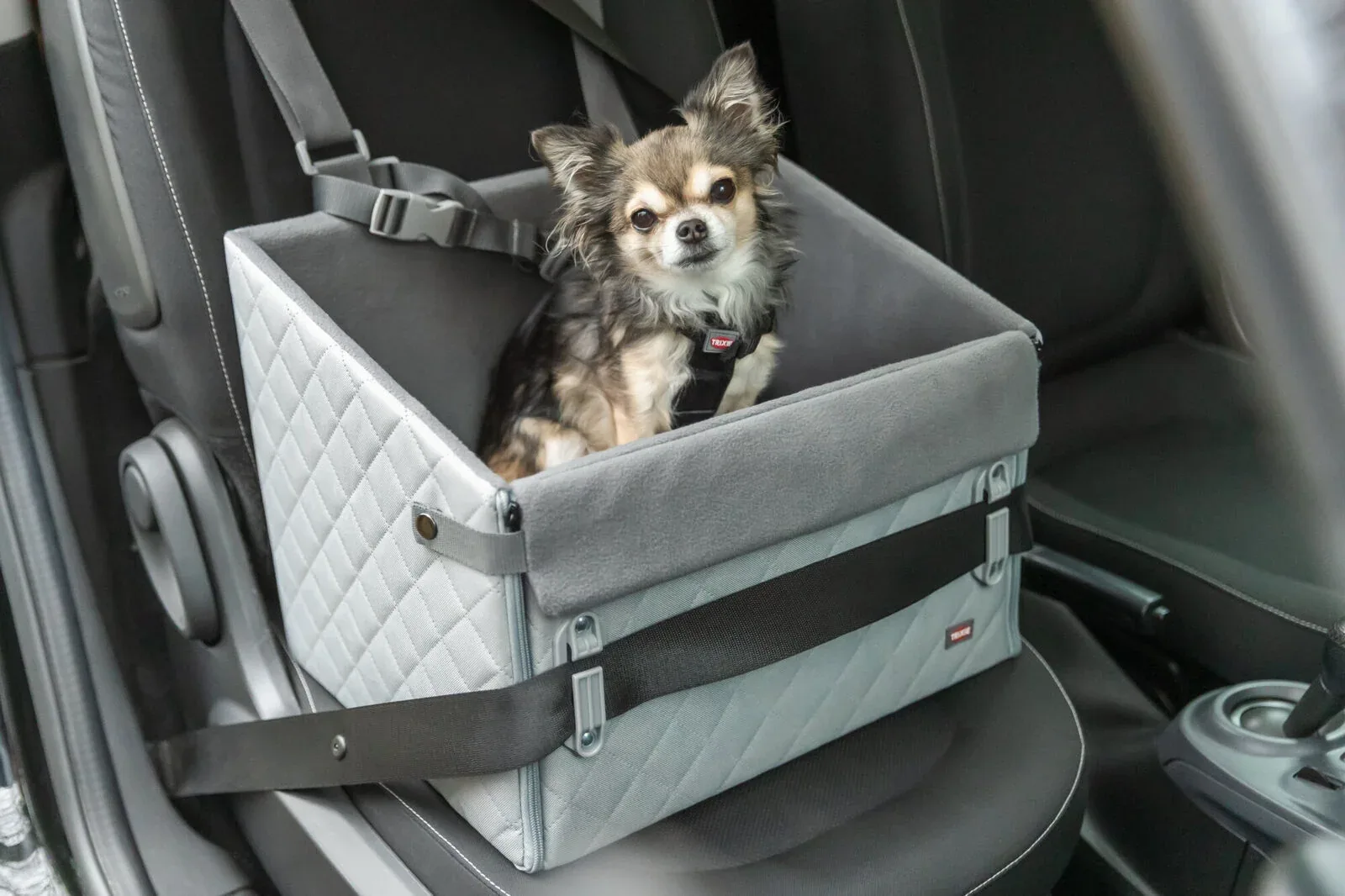 TRIXIE Autositz für Hunde & Katzen | Sicherer Autotransport - Image 2