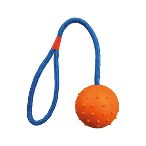 Trixie Ball am Seil | Hundespielzeug