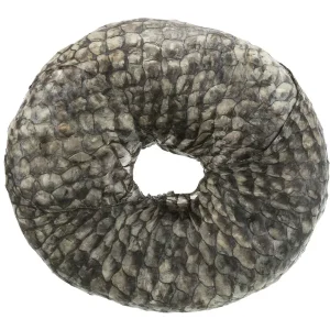 TRIXIE Denta Fun Ring mit Fisch 110g | DAS FUTTERHAUS