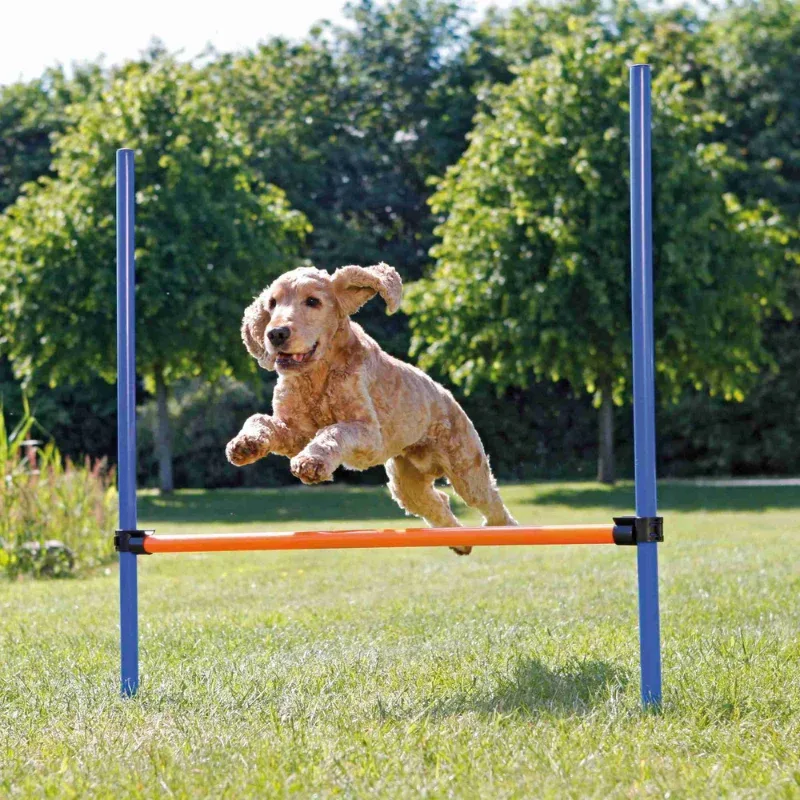 TRIXIE Fun Agility Hürde - Image 2