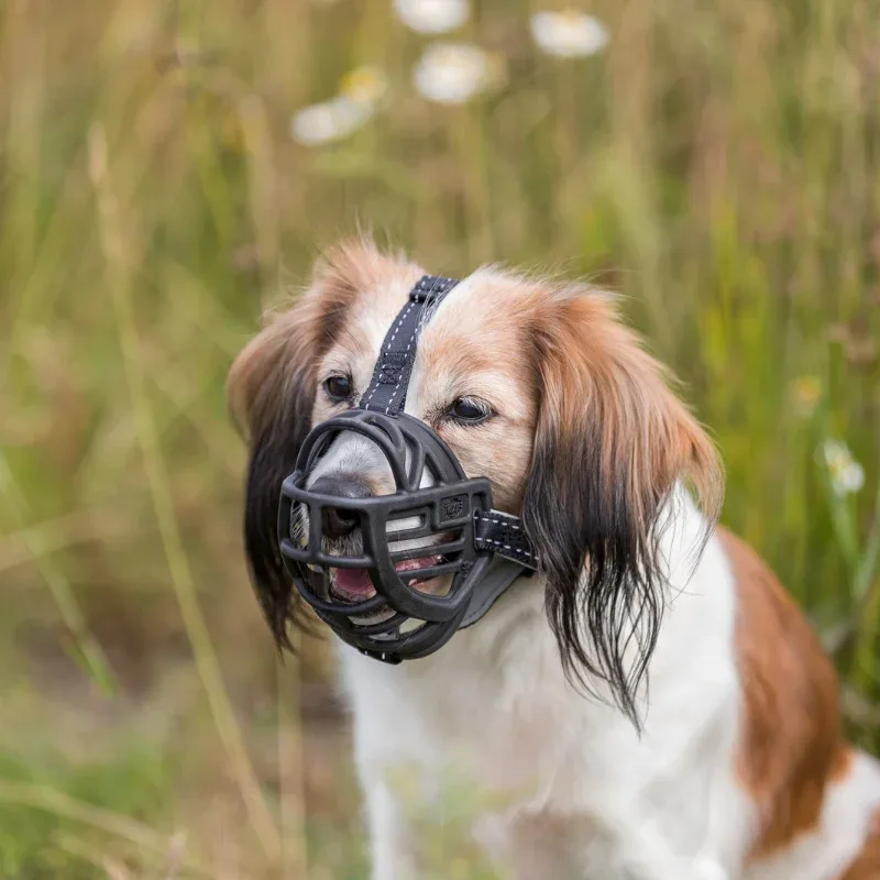 TRIXIE Maulkorb Muzzle Flex - Image 2