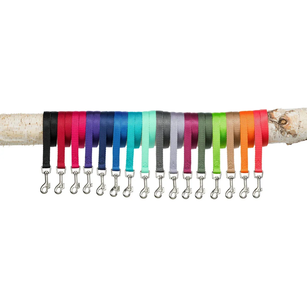 Trixie Premium Hundeleine Gurtband mit Handschlaufe - Image 2