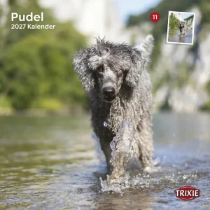 TRIXIE Pudel-Kalender 2027 – Wandkalender mit 12 Motiven