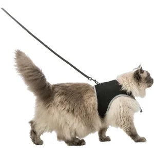 TRIXIE Softgeschirr Katze mit Leine schwarz 1,2 m | DAS FUTTERHAUS