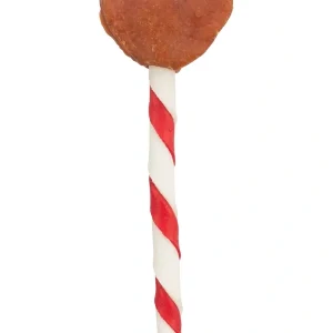 TRIXIE Valentine Heart Lollipop 15g | DAS FUTTERHAUS