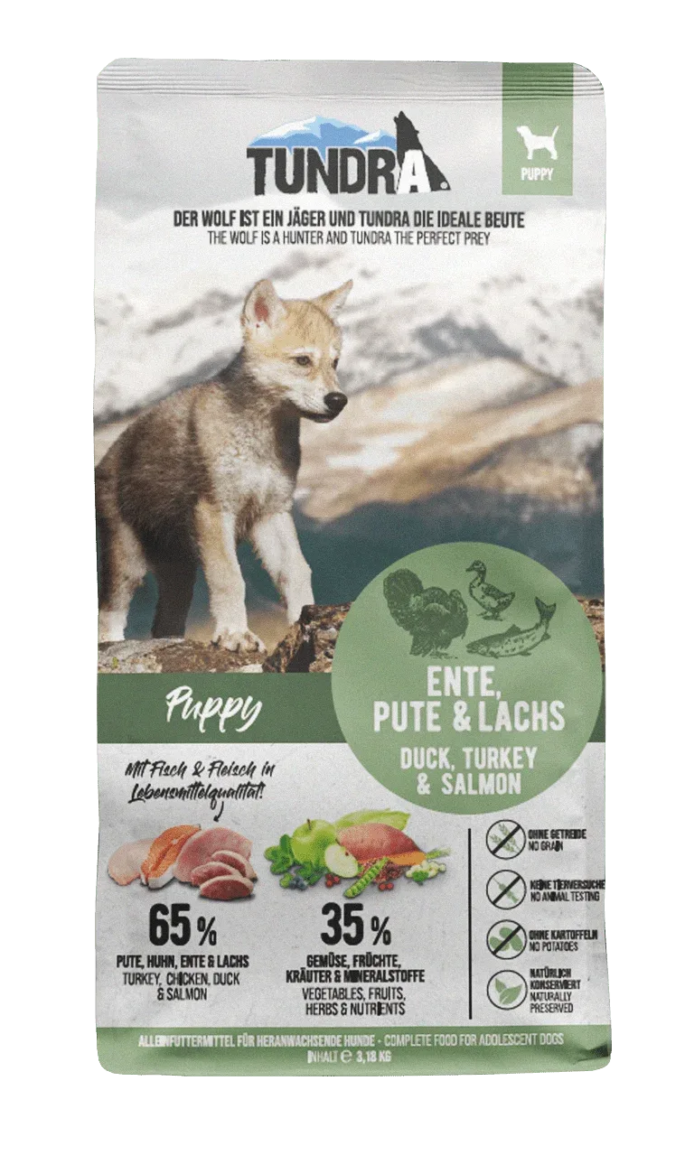 Tundra Dog Puppy - Blue Mountain - Image 2