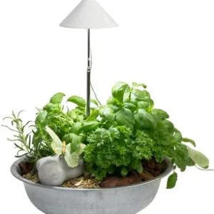 Venso LED-Pflanzenlampe | Dehner