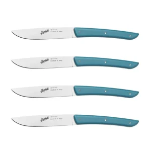 Veterinärgeprüftes (4 Stück) BERKEL - HaustierPro