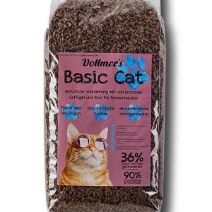 Vollmers Basic Cat