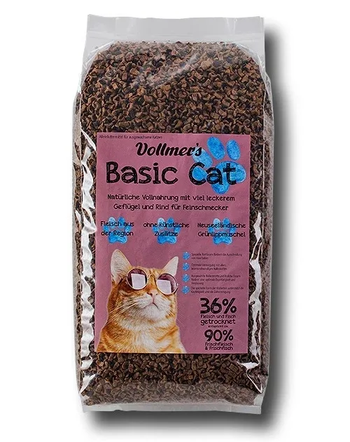 Vollmers Basic Cat