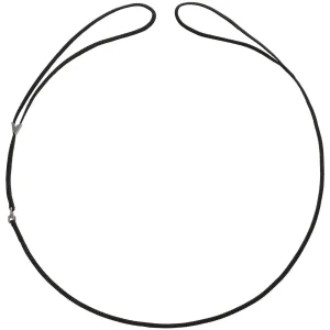 Vorführleine mit integrierter Halsung