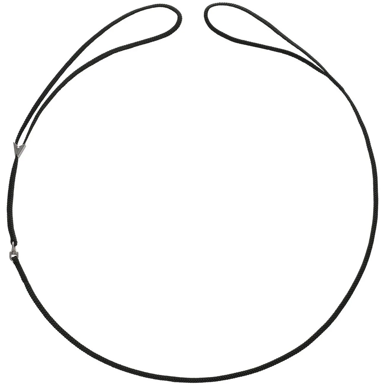 Vorführleine mit integrierter Halsung