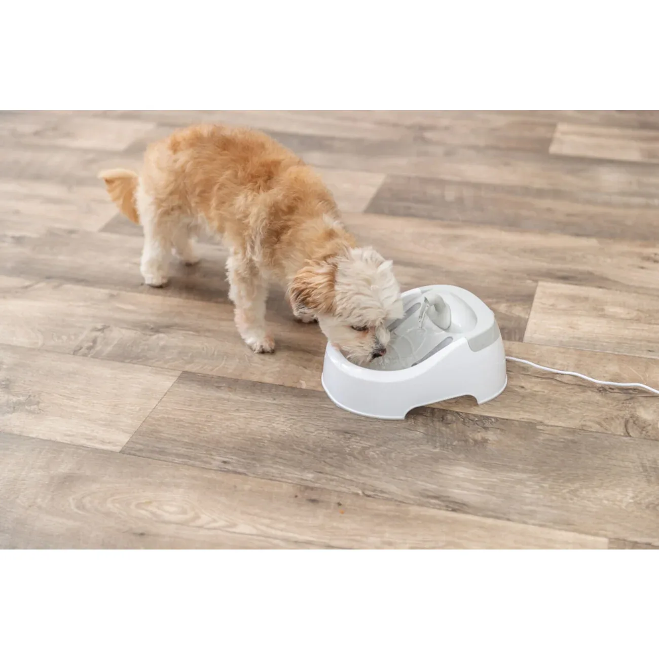 Wasserautomat für Hunde und Katzen Duo Stream - Image 2