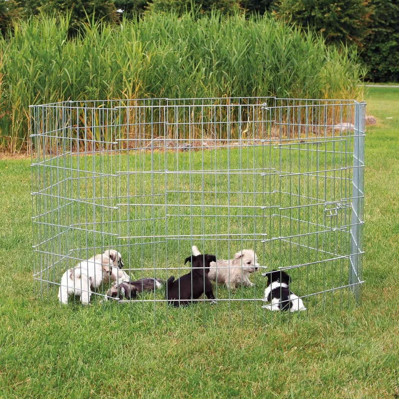 Welpengehege Freigehege für Welpen, Welpenauslauf, Hundefreilauf - Image 2