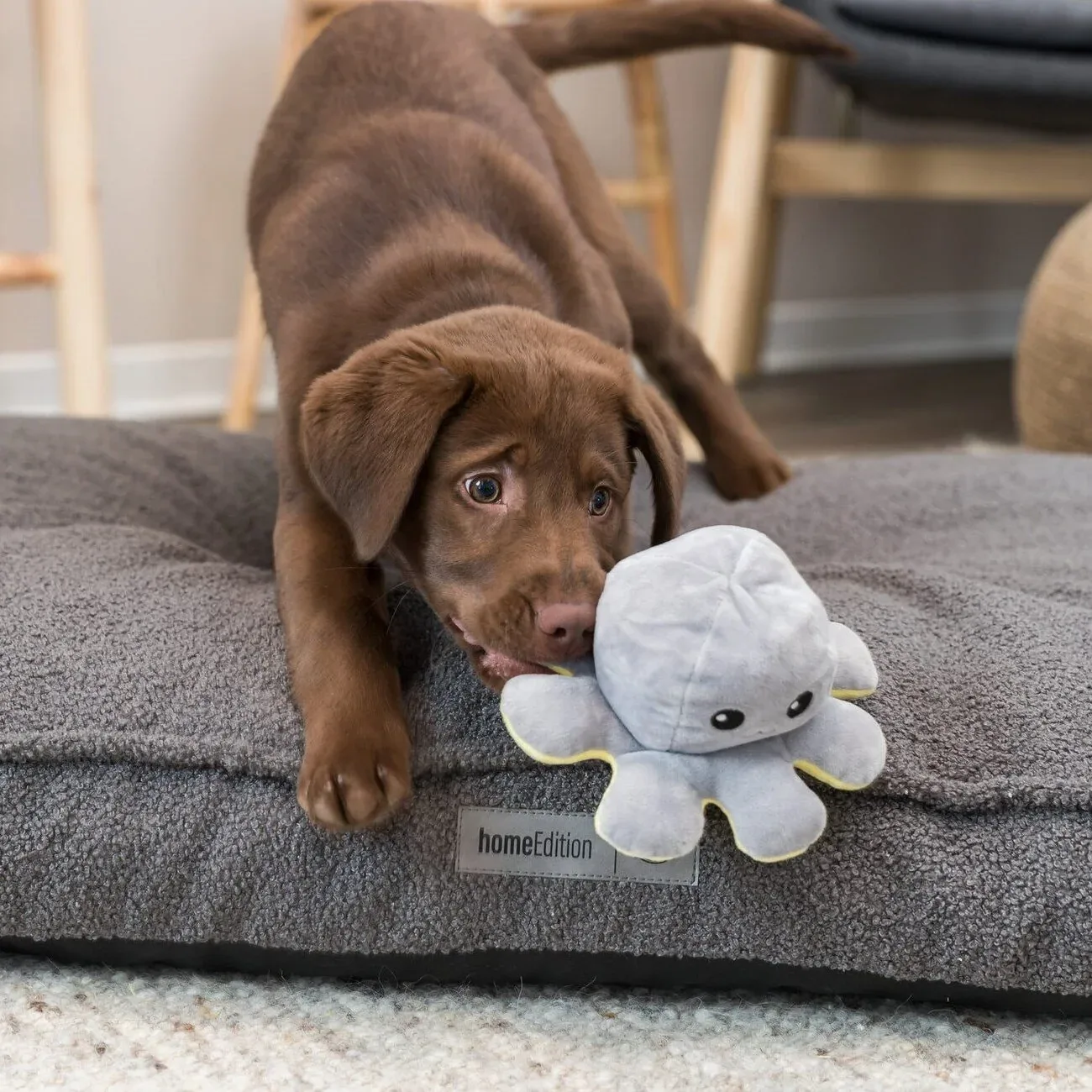 Wende-Oktopus für Hunde - Image 2