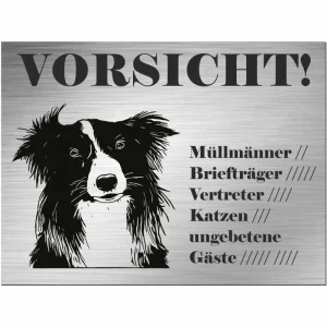 Wetterfeste Border Collie - Schild bedruckt - Alu-Dibond Edelstahl Look - HaustierPro