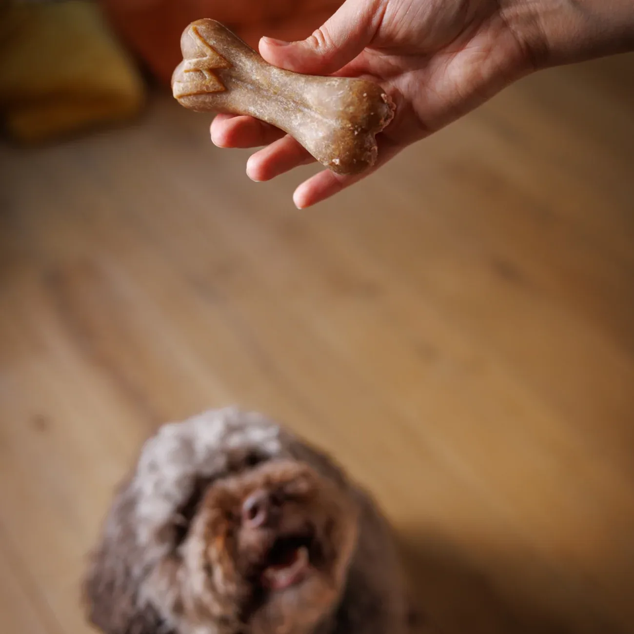 WHIMZEES® Reisknochen Zahnpflege Hundesnack Größe: M/L - Image 2