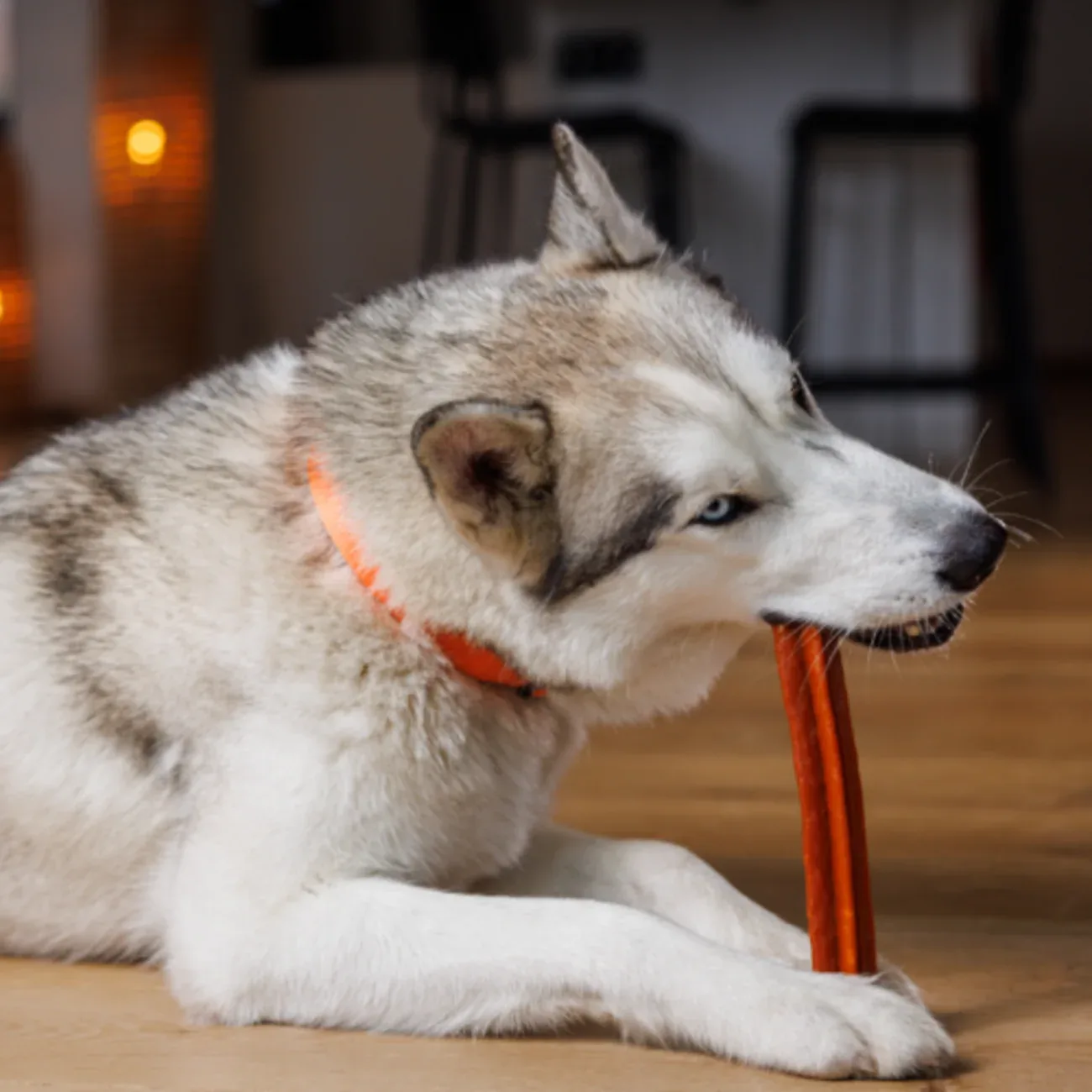 WHIMZEES® Zahnpflege Stix Hundesnack, lose - Image 2