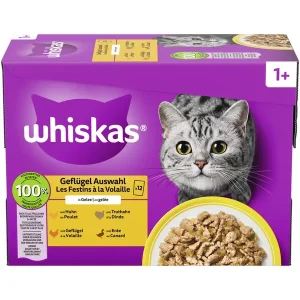 whiskas 1+ Geflügel Auswahl in Gelee 1kg | DAS FUTTERHAUS
