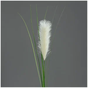 Wiederverwendbare Flug- und Pampas-Wedel 97 cm cream | 934240 - HaustierPro