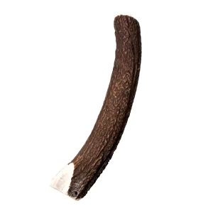 Wildes Land Geweihsnack Hirschgeweih Halb Snack XL