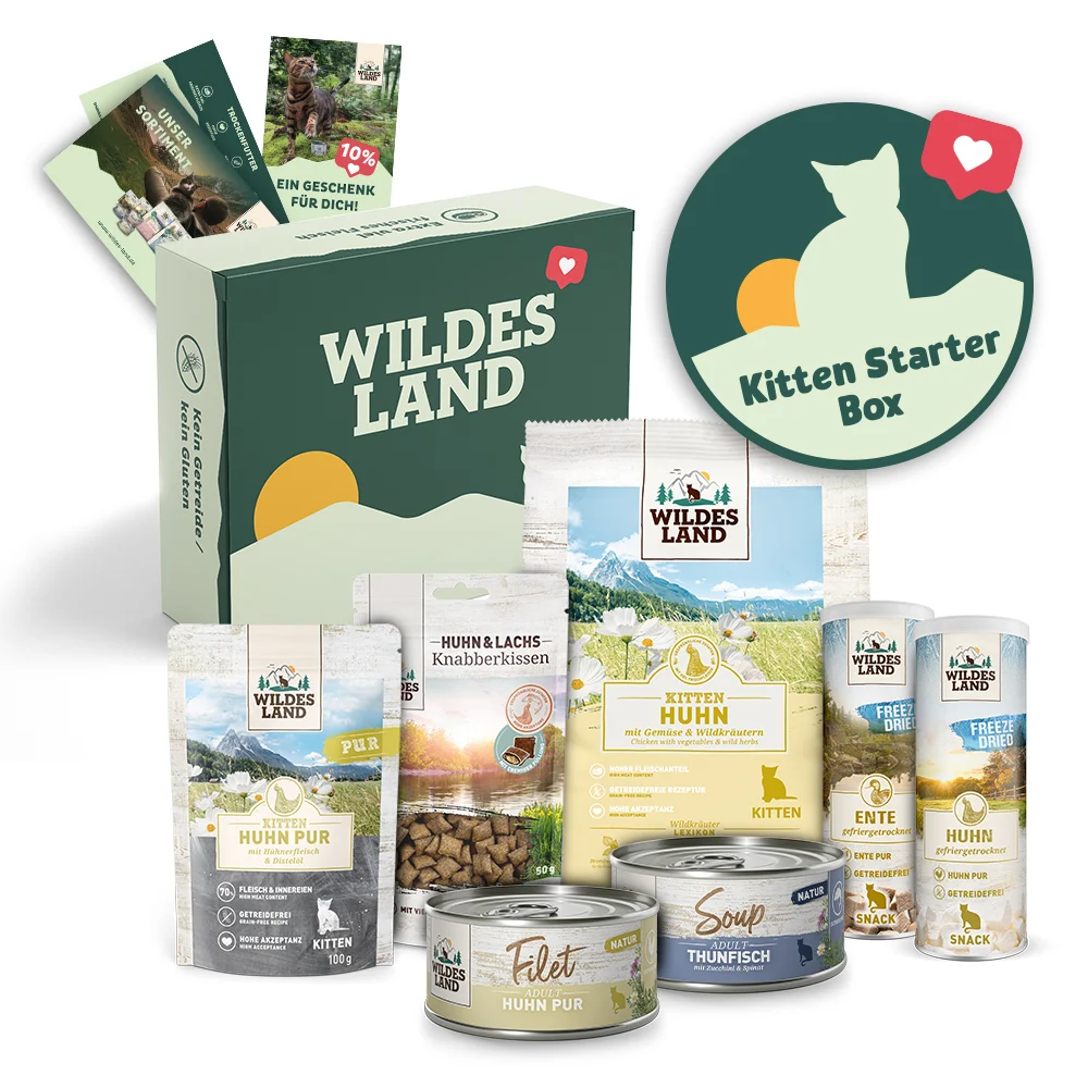 Wildes Land Kitten Starter Box Trockenfutter Snack Nassfutter 1 Paket