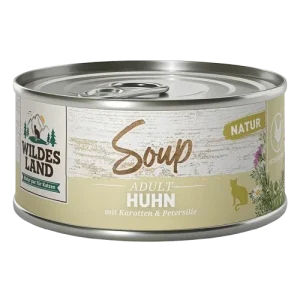 Wildes Land Soup Huhn mit Karotten