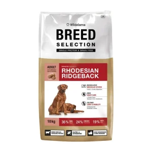 Wildsterne Breed Rhodesian Ridgeback