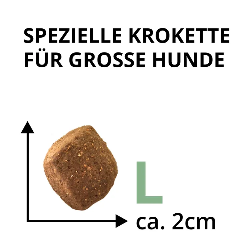 Wildsterne Breed Selection Adult L - Image 2