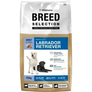 Wildsterne Breed Selection Adult Labrador Retriever