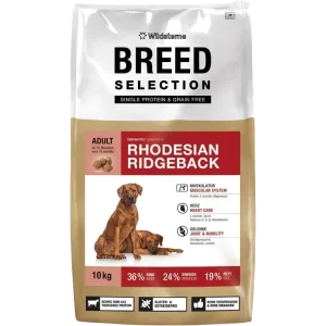 Wildsterne Breed Selection Adult Rhodesian Ridgeback