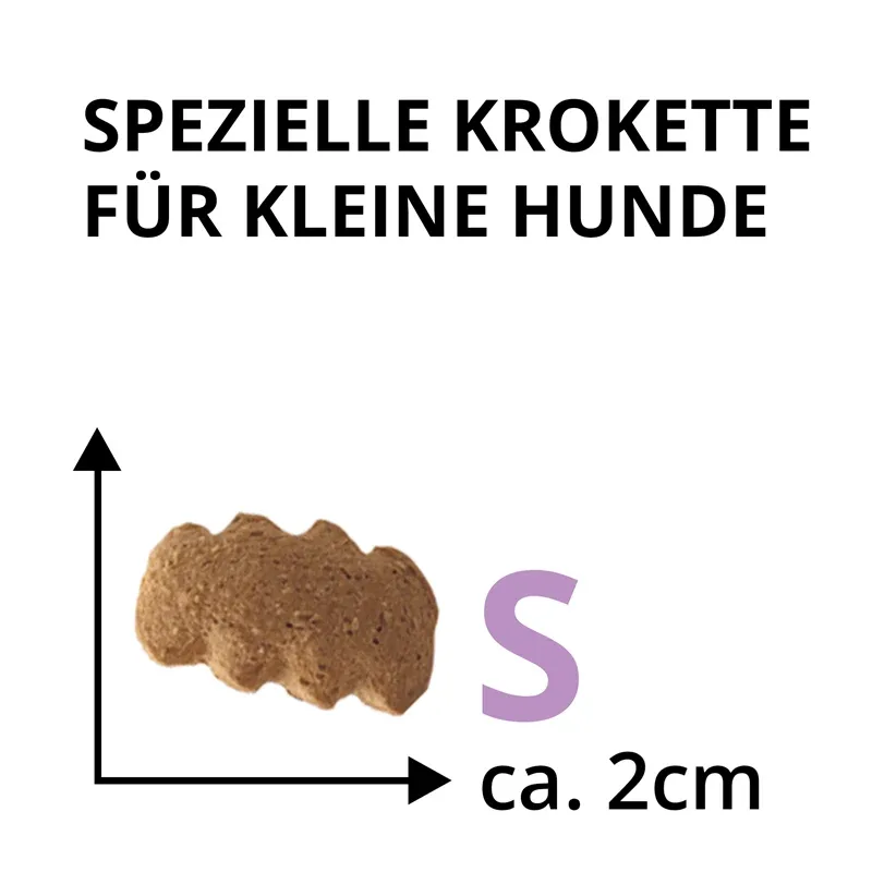 Wildsterne Breed Selection Adult S - Image 2