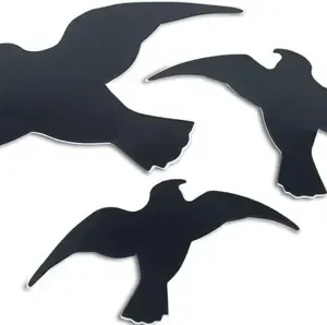 WINDHAGER Vogel-Silhouette Mühelos Sticker - 7116 mit 5-teiligem Set - HaustierPro
