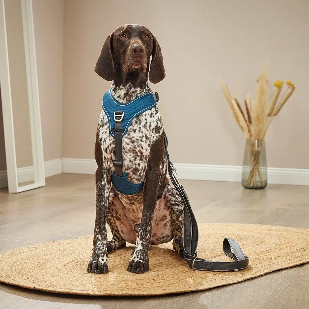 Wolters Active Pro Comfort Hundegeschirr - Image 2