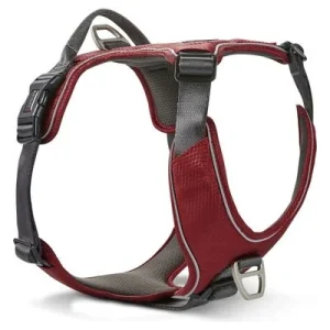 Wolters Geschirr Active Pro Comfort rot/anthrazit Größe: 1 (40 - 47,5 cm)