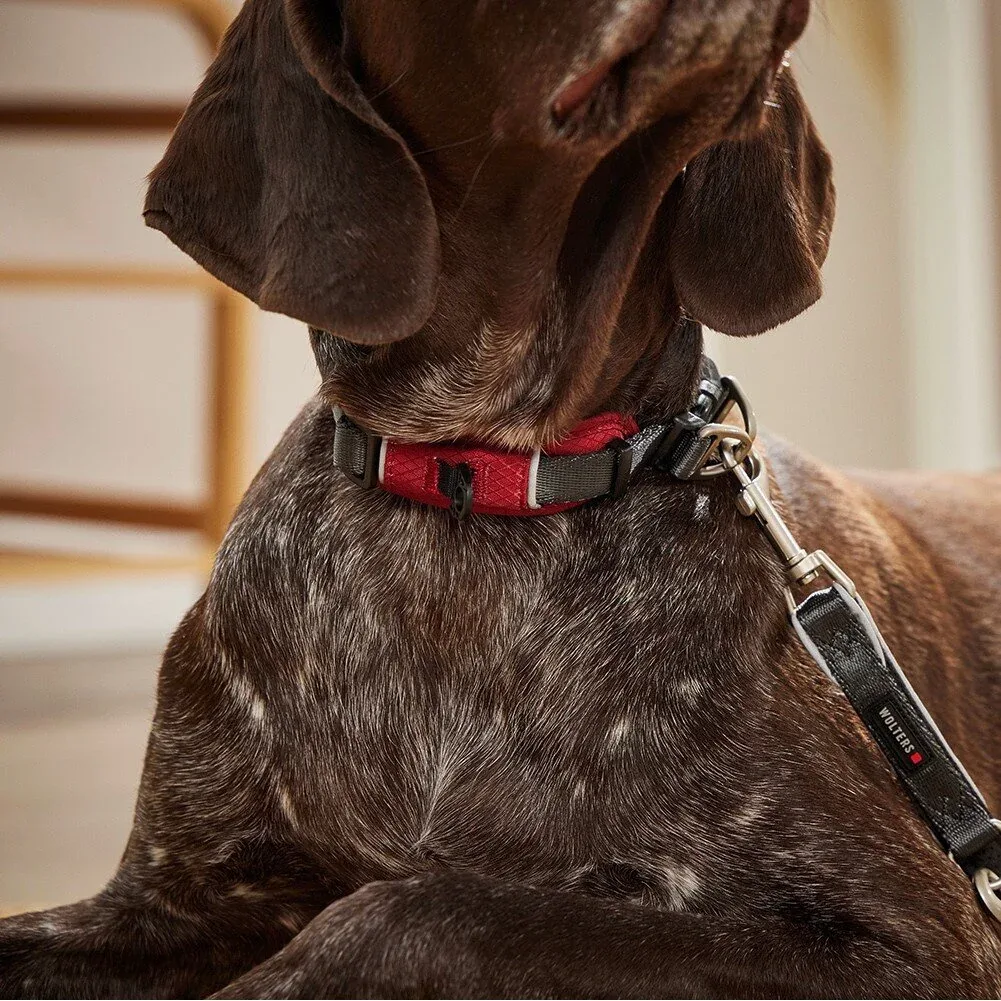 Wolters Halsband für Hunde Active Pro Comfort - Image 2