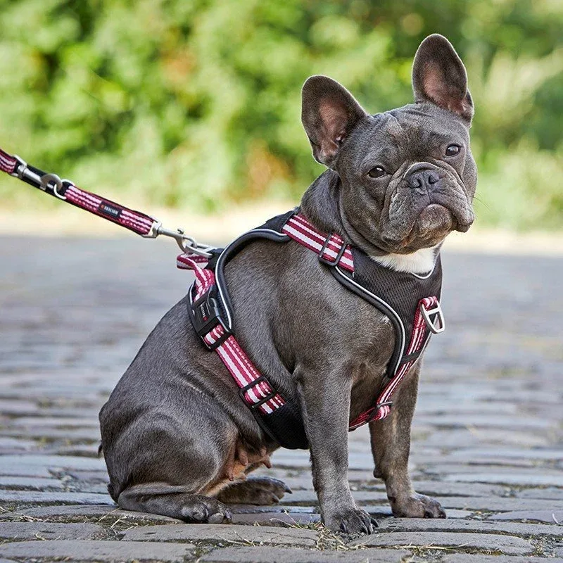 Wolters Hundegeschirr Active Pro - Image 2