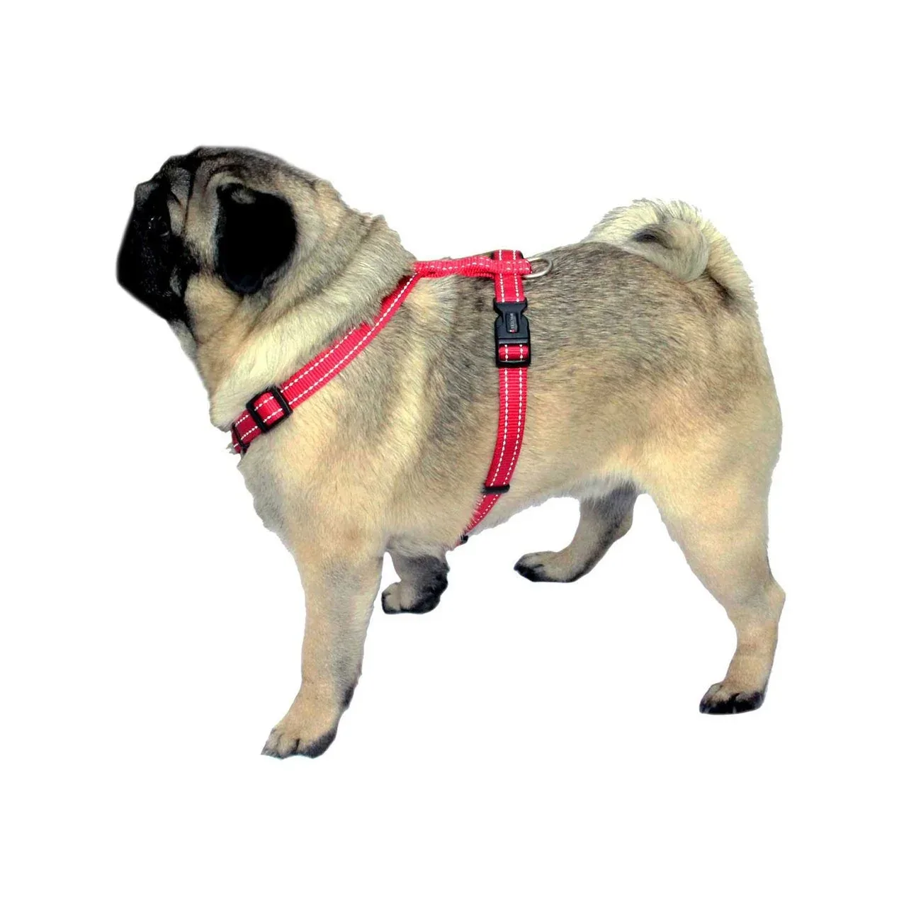 Wolters Hundegeschirr Soft & Safe für Mops & Co - Image 2