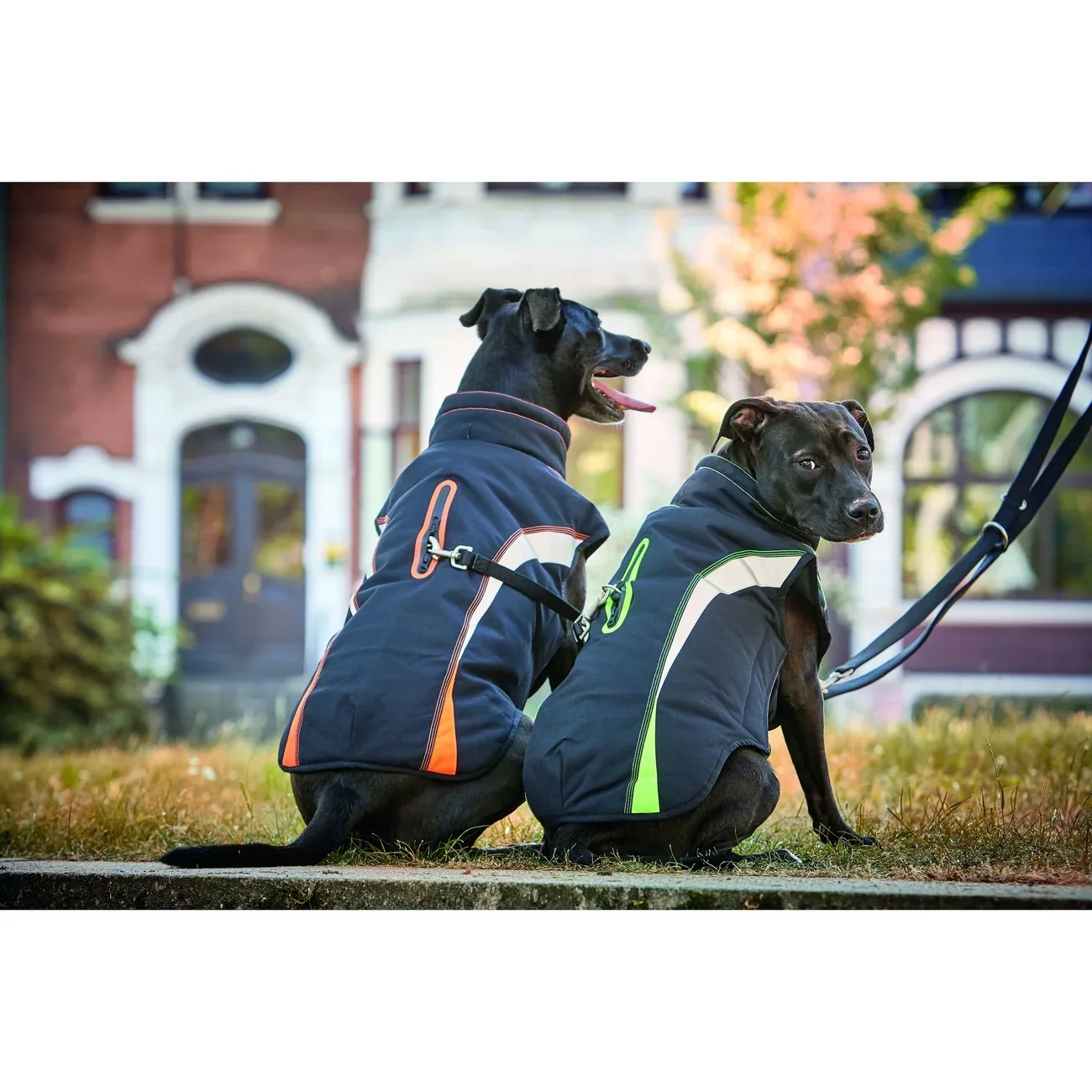 Wolters Outdoorjacke Xtra Strong - Image 2