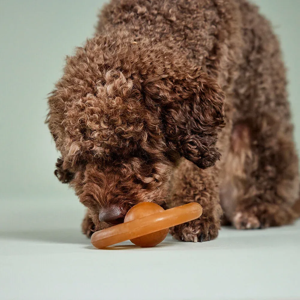 Wolters Pure Nature Spielrad aus Naturkautschuk für Hunde - Image 2