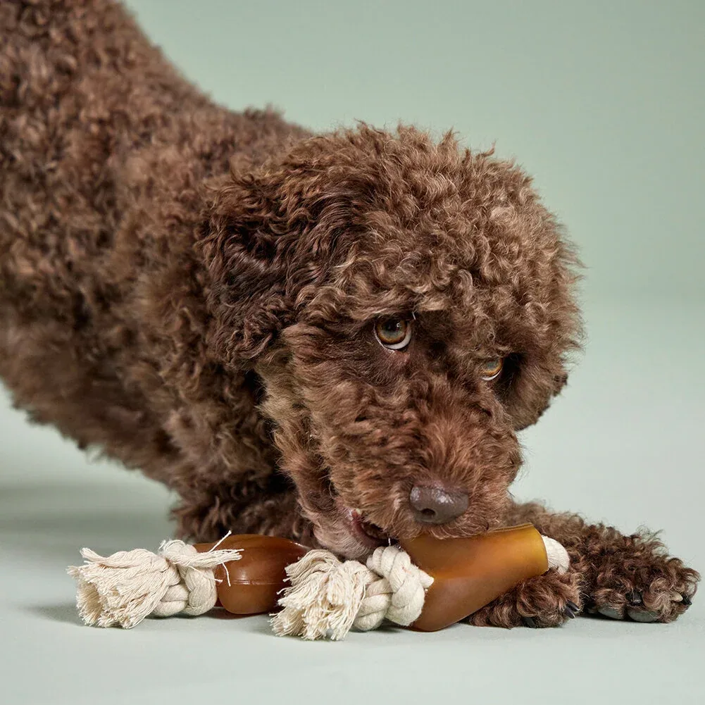 Wolters Pure Nature Spielzeugtau mit Knochen für Hunde - Image 2