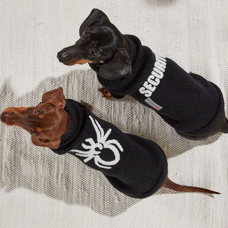Wolters Strickpullover Spider Hundepullover – Halloween Hundebekleidung schwarz - Image 2