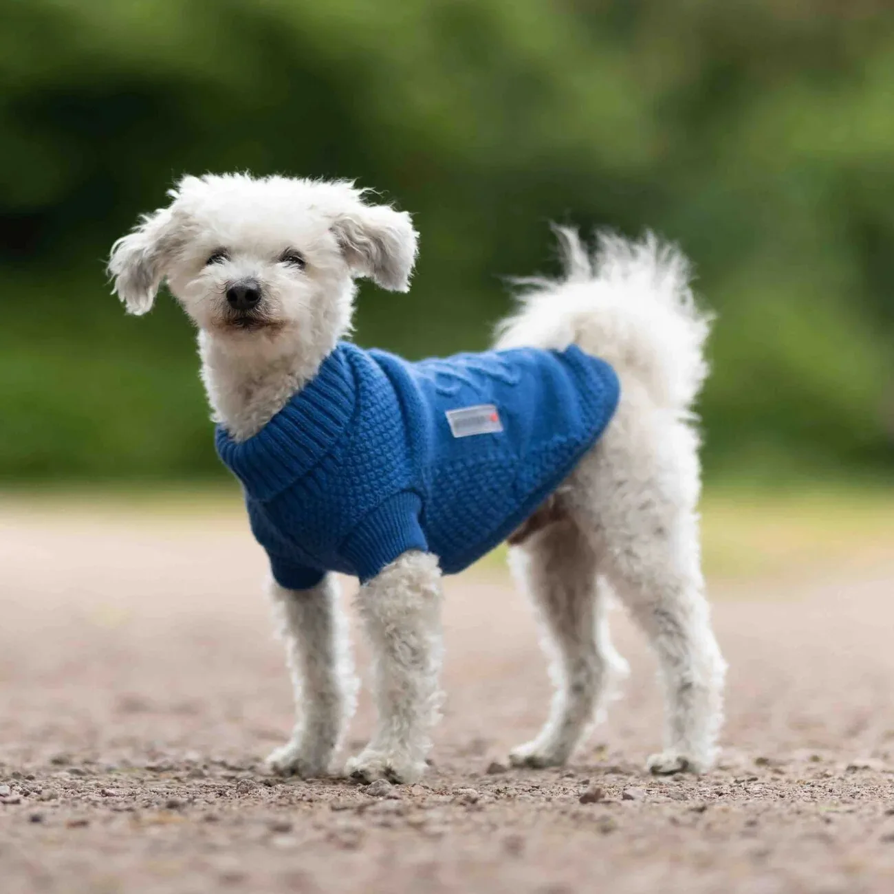 Wolters Strickpullover Tristan für Hunde - Image 2