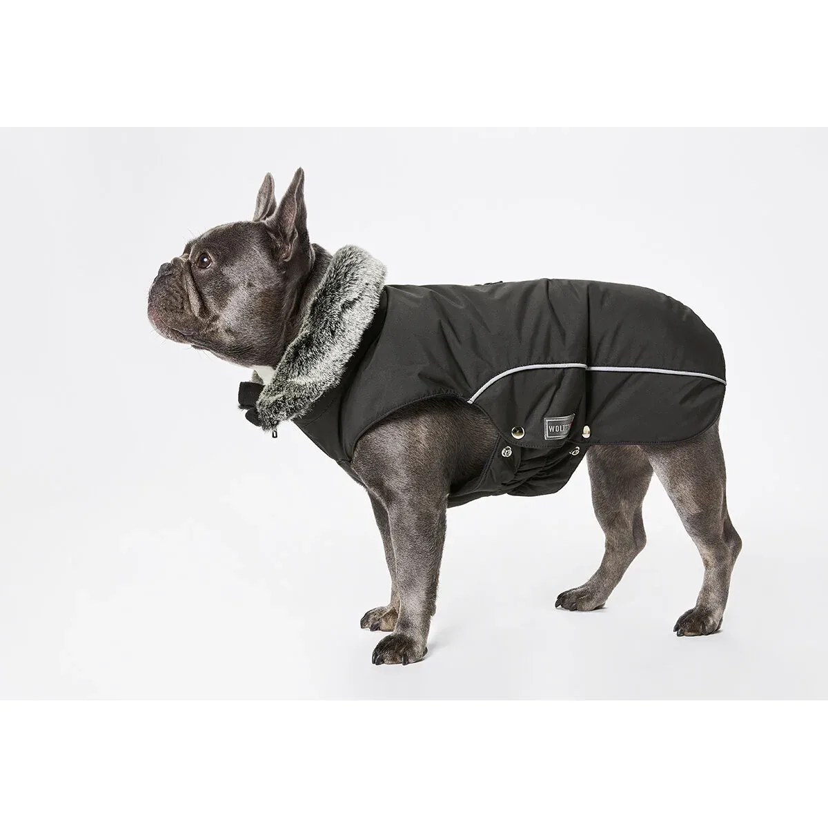 Wolters Winterjacke Amundsen für Mops & Co - Image 2